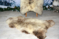 Preview: Twin Set Harmonie Öko Lammfell Beige Coloure